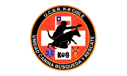 Logo socio central security_Mesa de trabajo 1 copia